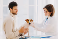 El precio oculto de tu mejor amigo: cuánto cuesta realmente una mascota (y por qué nadie te lo dice)